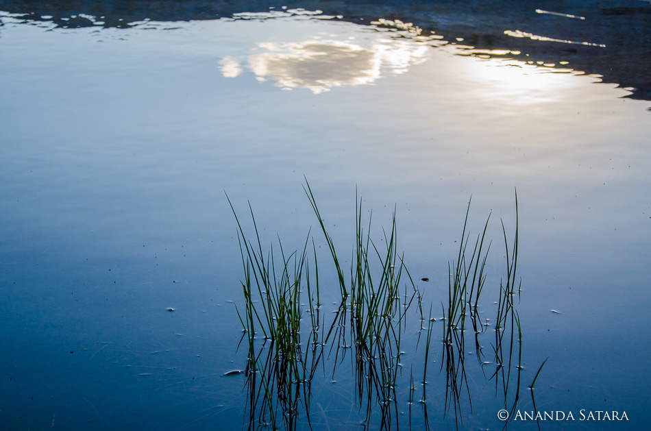 "Poised in Stillness" Isberg Lake, Ansel Adams Wilderness, Sierra Nevada, California