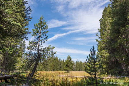 Yosemite ley line California