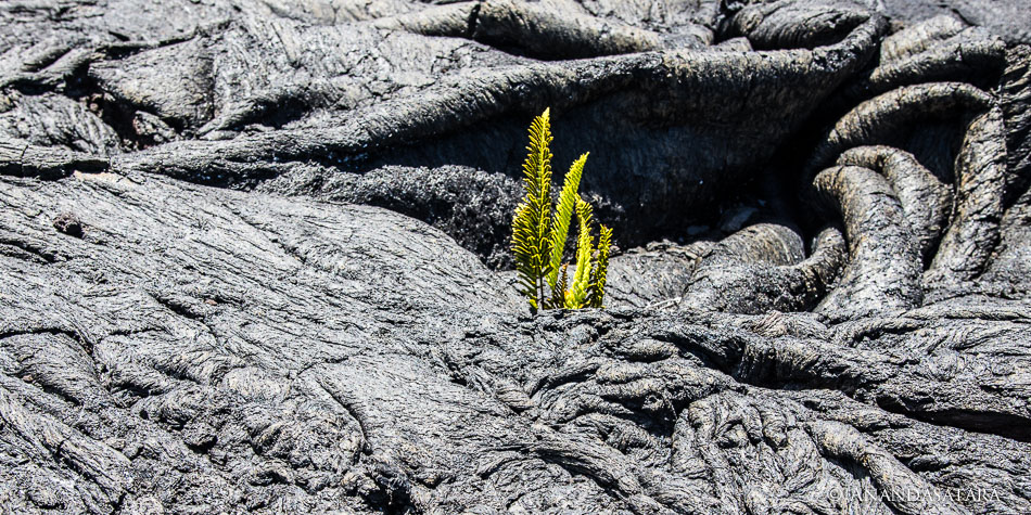 Earth changes lava field