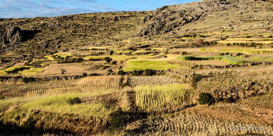 Lake Titicaca Amantani Island Ley Line