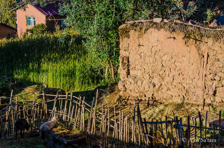Lake Titicaca Amantani Island Ley Line