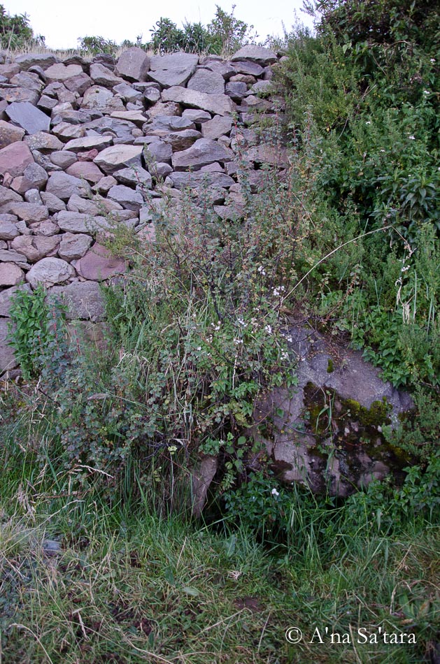 Sacred geometry spring Amantani Island Lake Titicaca ley line