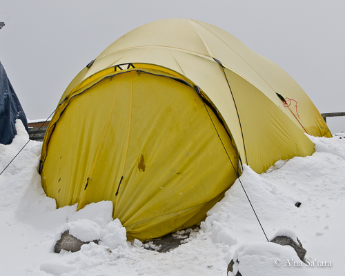 Tent at Gorak Shep